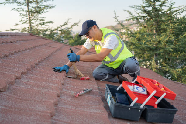 Best Gutter Installation and Roofing  in Olivet, TN