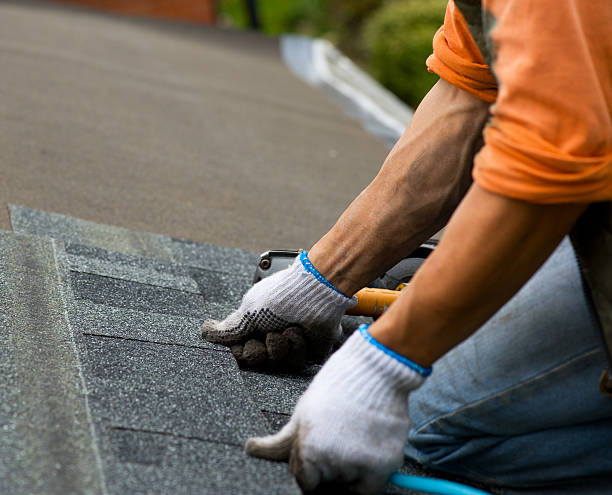 Best Best Roofing Contractors  in Olivet, TN